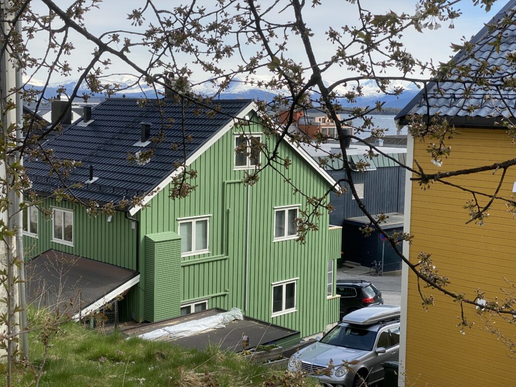 Grønt hus med svart tak og tilhørende garasje ved siden av en gul bygning; biler står parkert utenfor; tregrener og fjell er synlige i bakgrunnen.