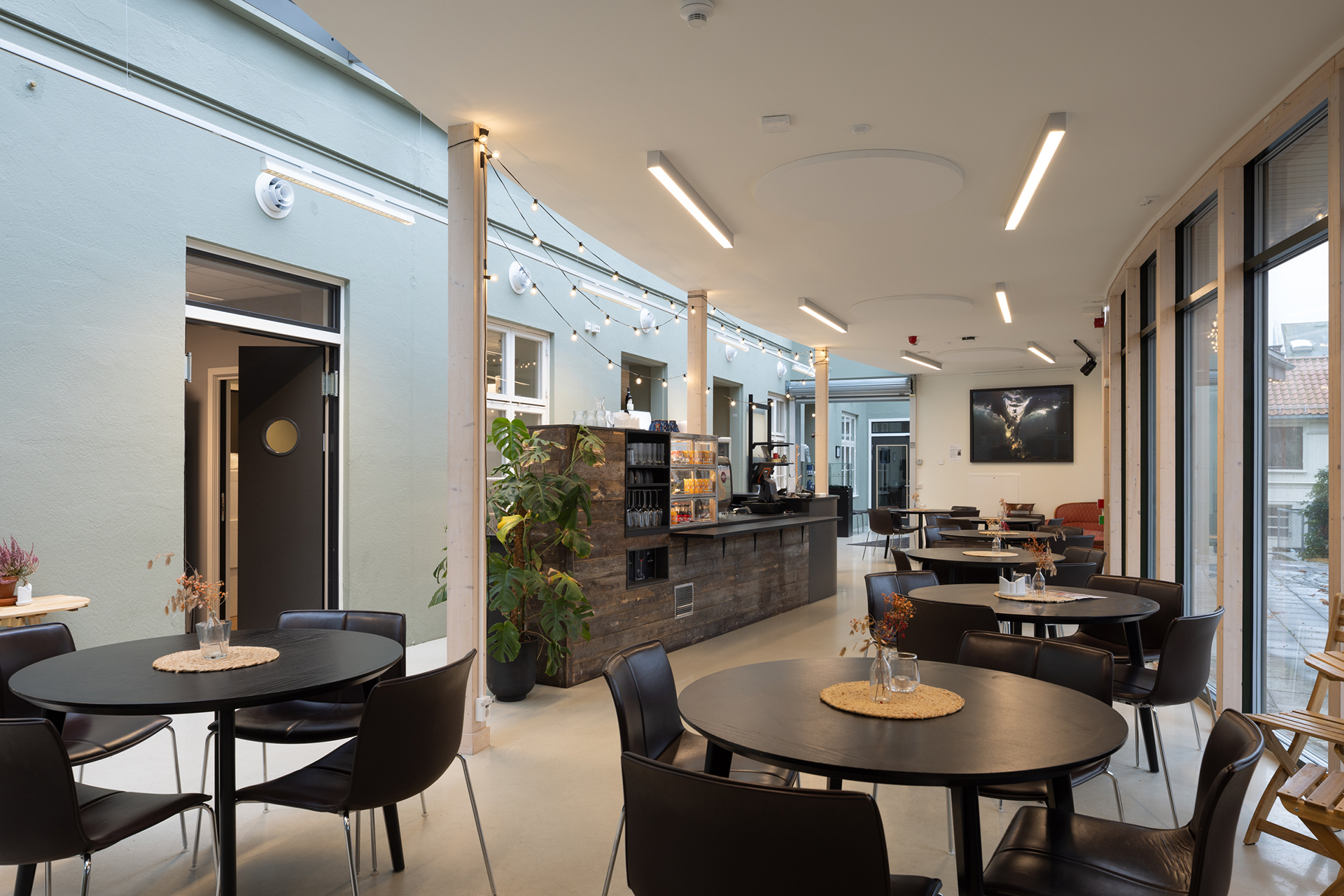 Kameleonen ved parken 7 Moderne kaféinteriør med runde bord, svarte stoler, en disk i tre, potteplanter og store vinduer som slipper inn naturlig lys.