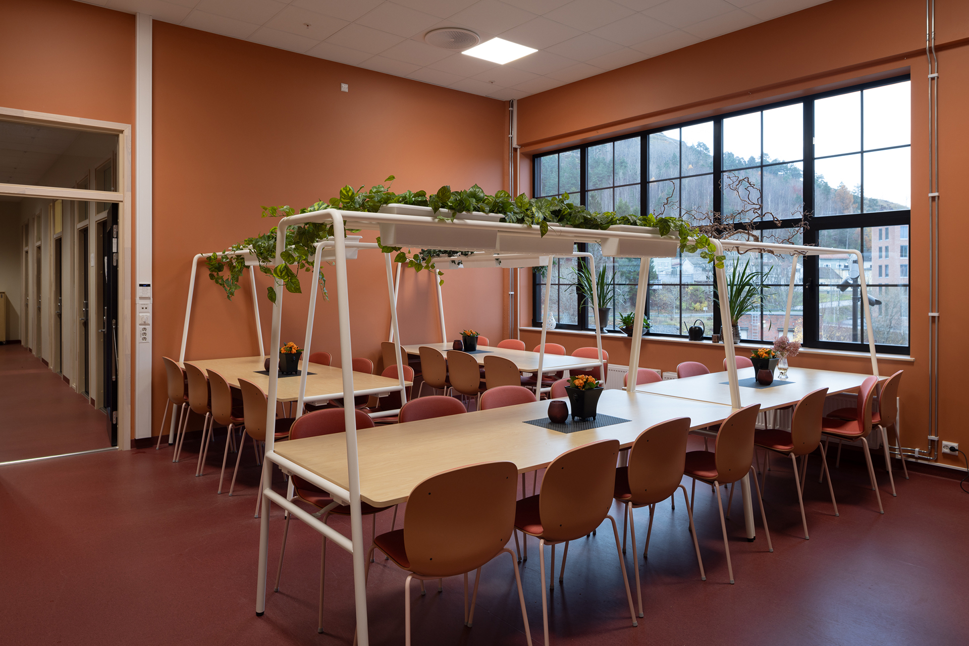 I en kafeteria med oransje vegger og gulv står langbord med planter på hvite rammer, omgitt av oransje stoler, ved siden av store vinduer.