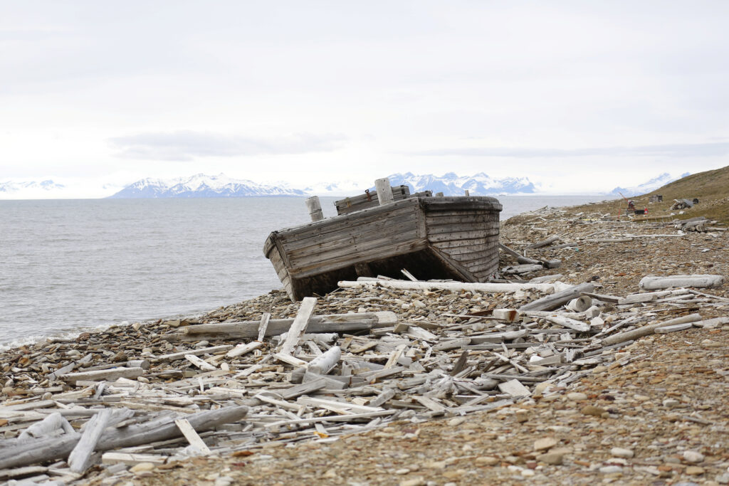 En gammel trebåt hviler på en steinete, drivvedkledd strand med snødekte fjell i det fjerne, på den andre siden av vannet, under en skyet himmel.