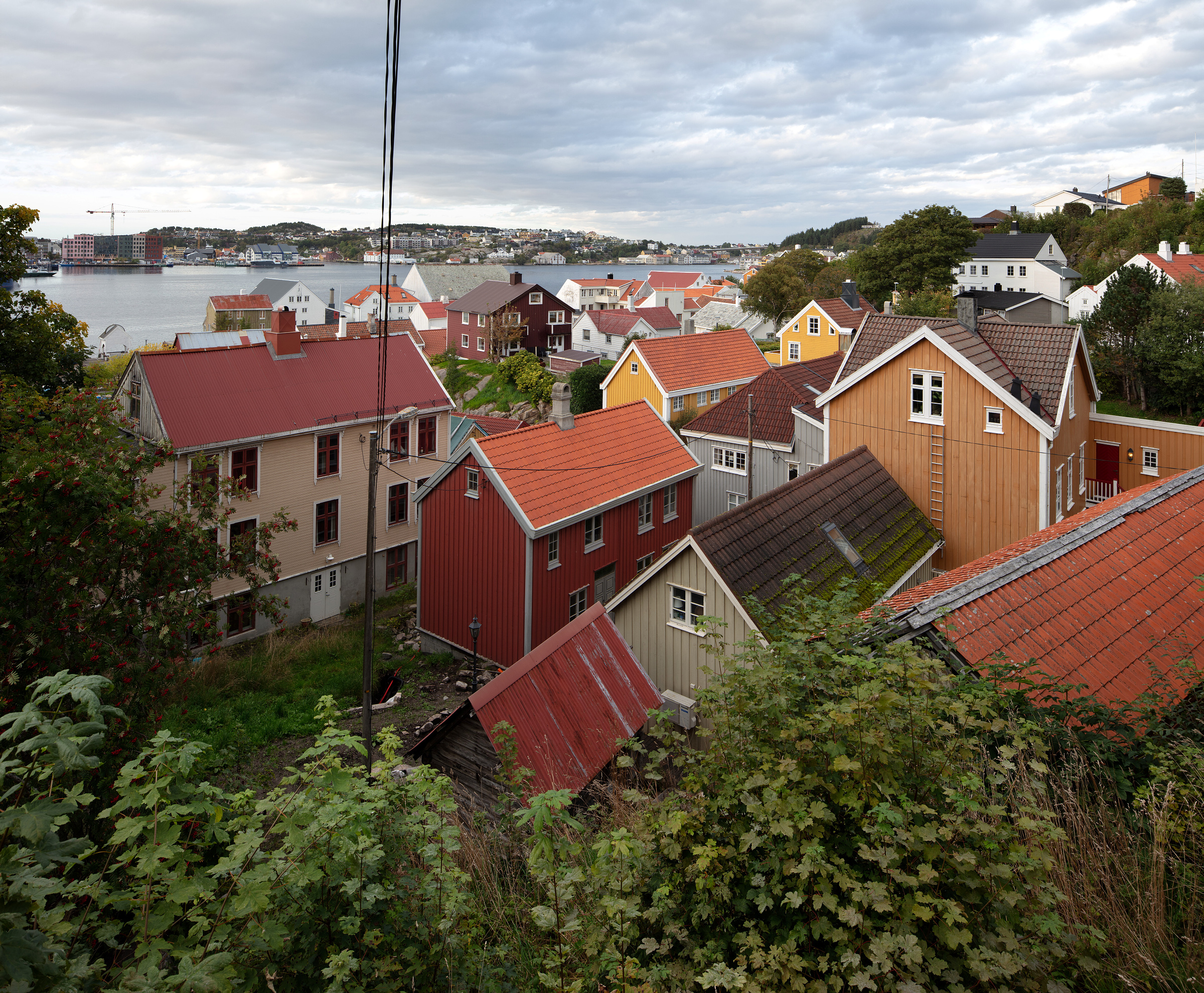 Utsikt over kystbymiljø - Innlandet i Kristiansund, med fargerike hus, røde og oransje hustak, grøntområder i forgrunnen og vann med fjerne bygninger i bakgrunnen under en overskyet himmel.