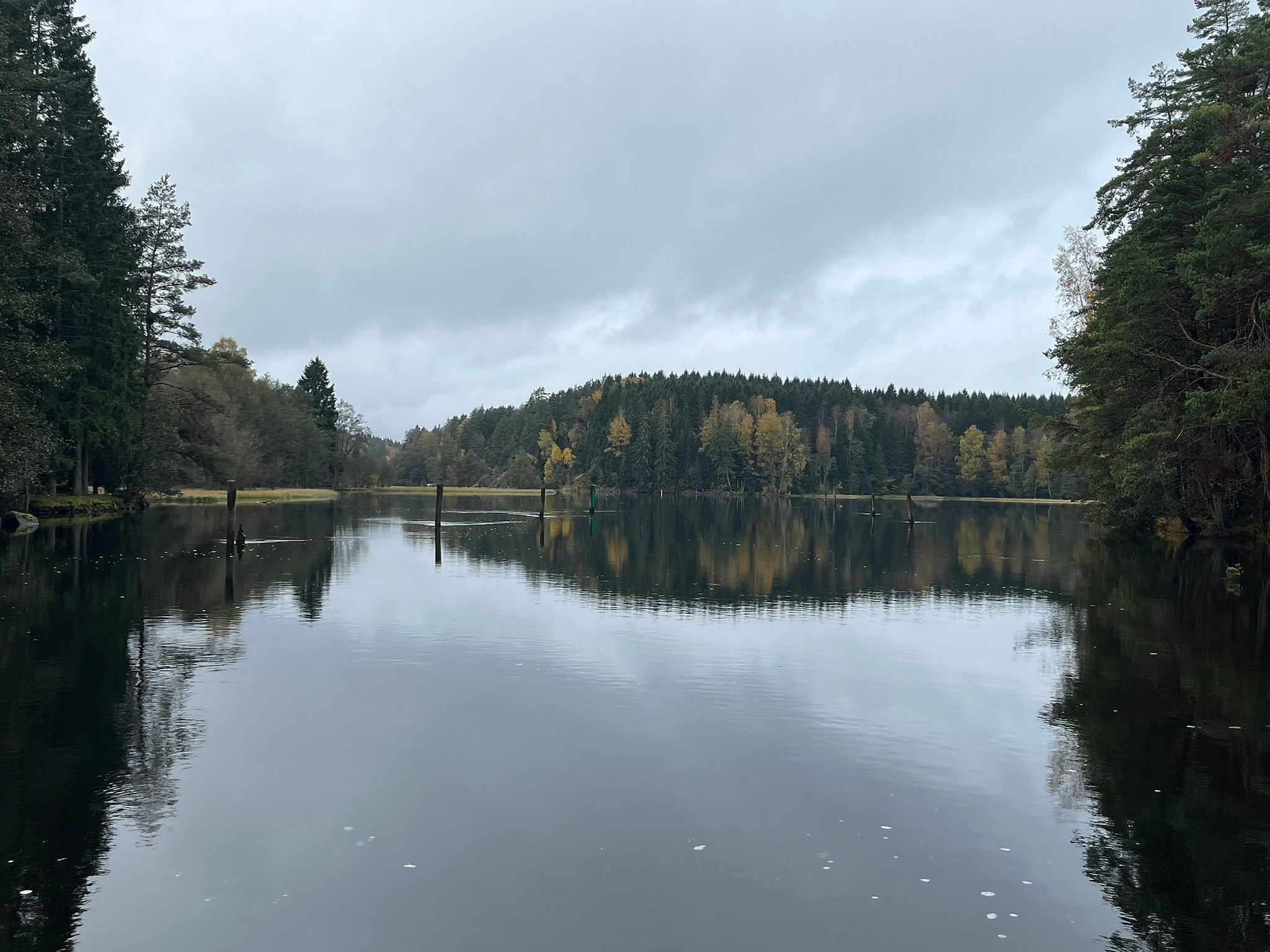 En rolig innsjø omkranset av trær med høstløv under en overskyet himmel; trærne og himmelen speiler seg i vannet.