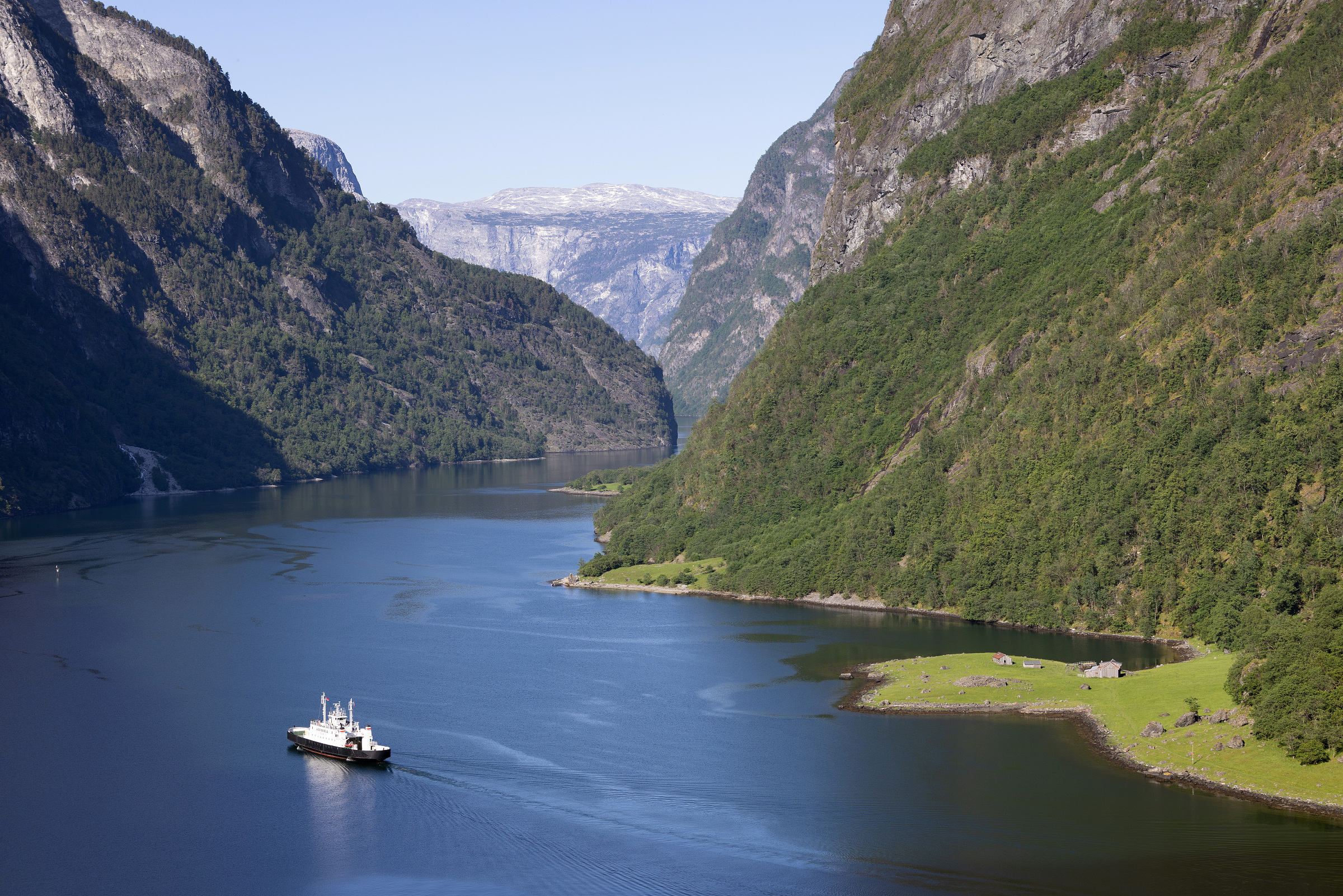 En hvit ferge seiler gjennom en smal, stille fjord omkranset av bratte, grønne fjell under en klar himmel.
