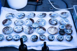 A collection of small, blue and white patterned ceramic bowls, some with damage, placed on a white cloth.