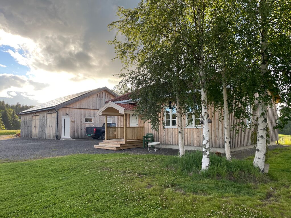 Et trehus og en frittstående garasje ligger ved siden av en grønn plen og flere bjørketrær under en delvis overskyet himmel.