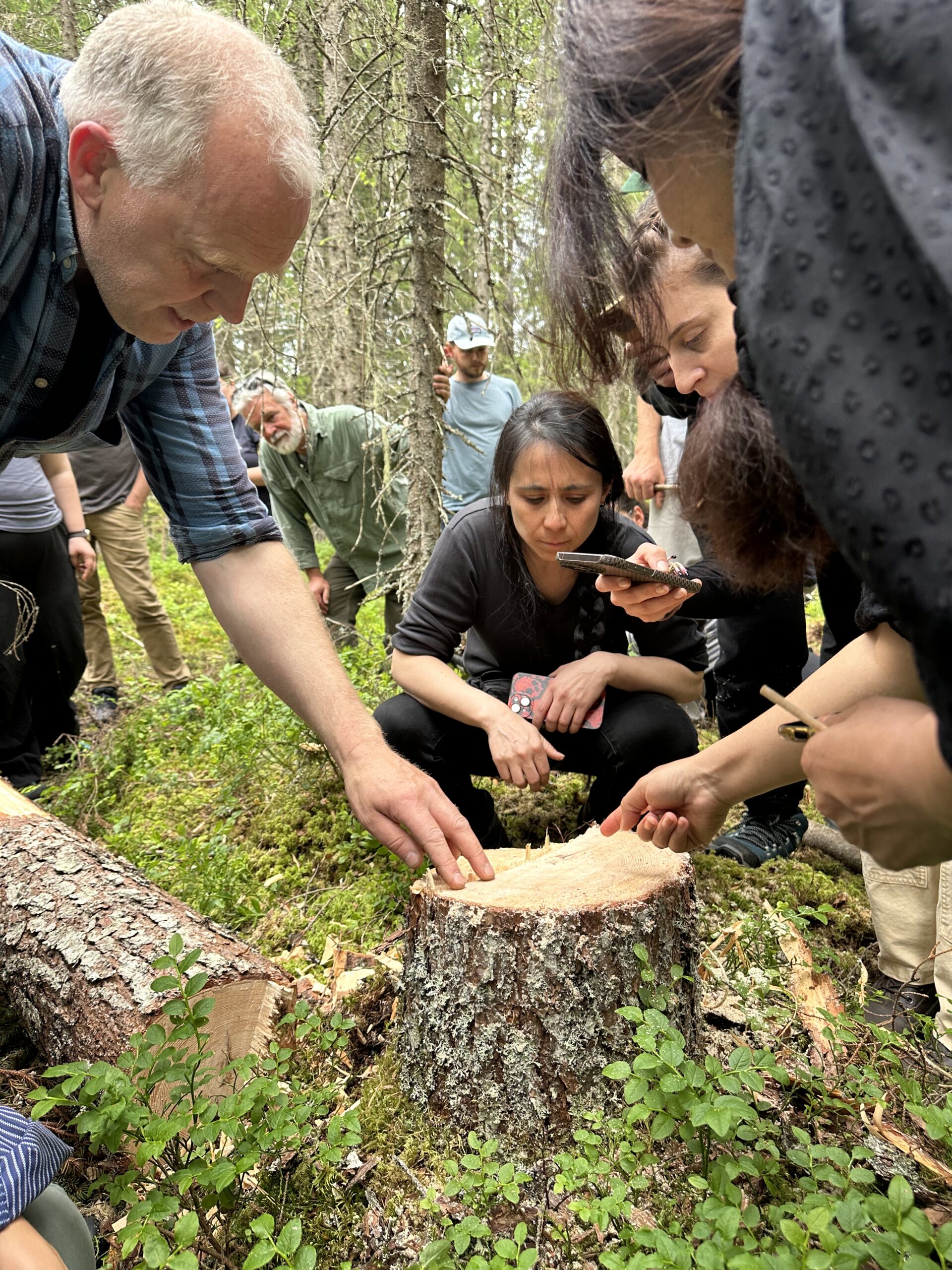 A group of people closely examine and discuss a freshly cut tree stump in a forest, surrounded by green foliage.